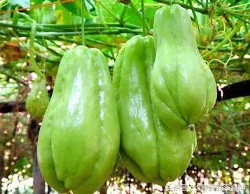 双十一吃土的时候来了,双十一吃土第一天