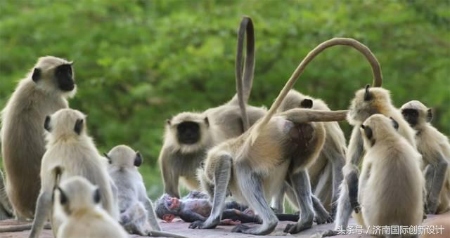 这34个间谍，每天只干一件事：*窥偷**！还拍成电影全球上映？