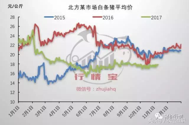 养猪一年能赚多少钱,2019年养猪挣500亿