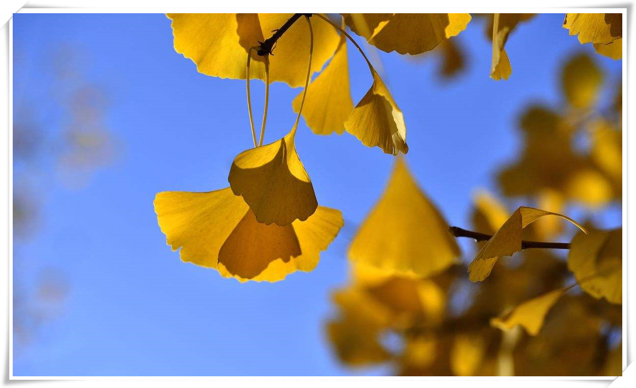 科普天空为什么是蓝色,关于天空的科普短视频