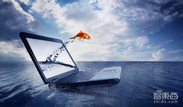 双十一荣耀京东销量榜单冠军,荣耀x10京东双十一入手