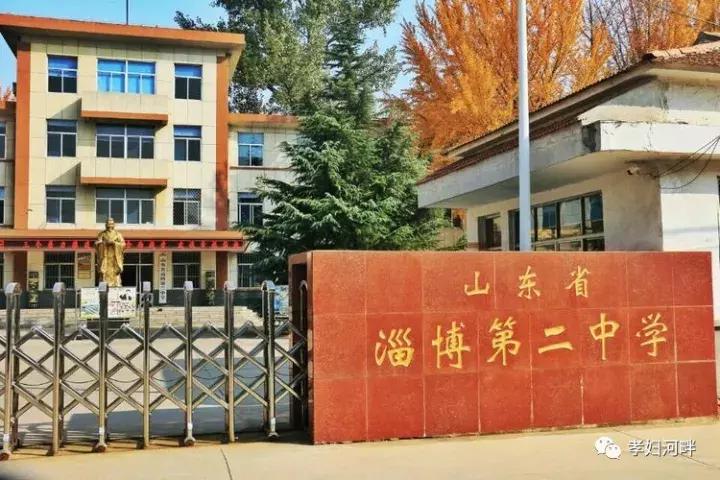 博山区银杏树,博山源泉淄博二中