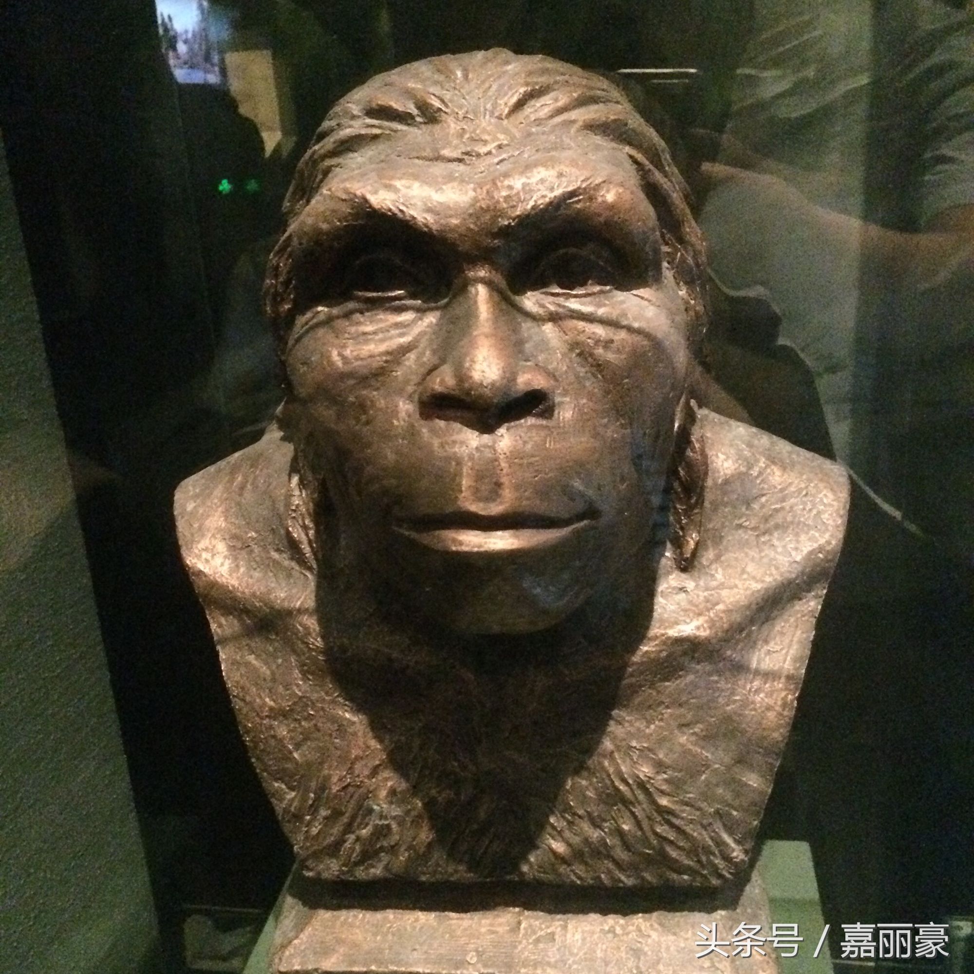 陕西历史博物馆差评,陕西历史博物馆倒卖