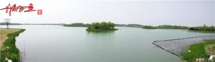 陪伴孩子的野餐,周末家庭式野餐陪伴家人