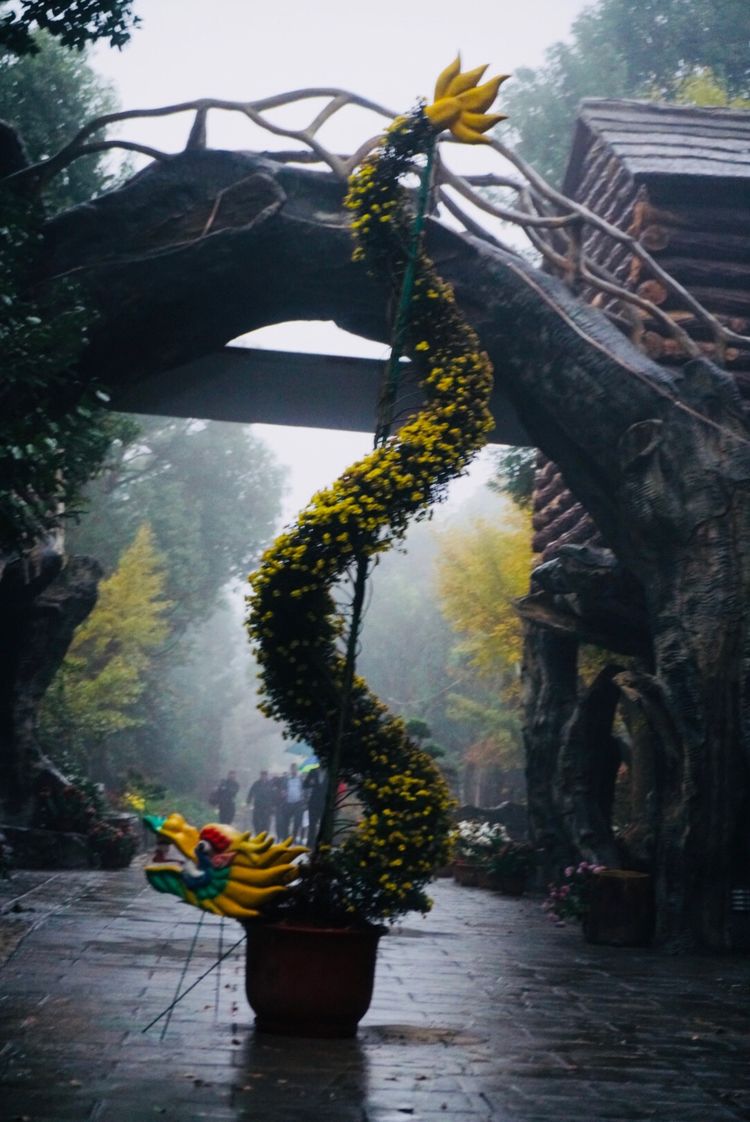 温州的春天有哪些特点,温州春夏秋冬