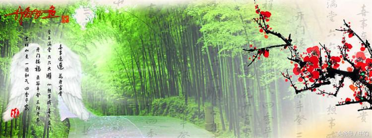 陪伴孩子的野餐,周末家庭式野餐陪伴家人