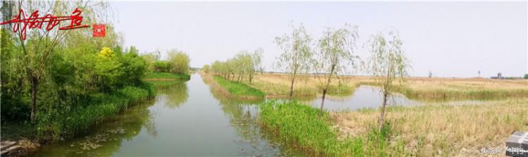 陪伴孩子的野餐,周末家庭式野餐陪伴家人