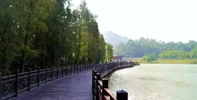 别再跟我说“母鸡”去哪玩！广州48个一日游免费景点推荐！