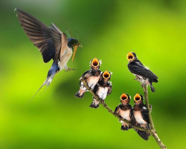 最好的相遇是久别重逢电视剧,最好的相遇是久别重逢的句子