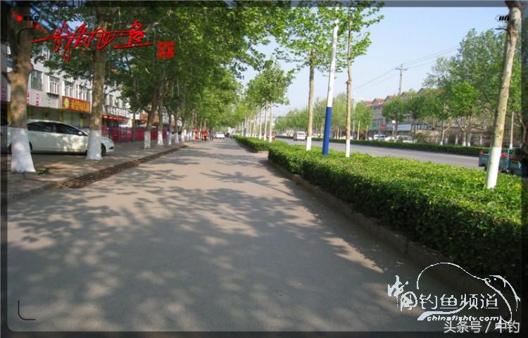 陪伴孩子的野餐,周末家庭式野餐陪伴家人