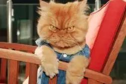 00后适合用lamer吗,00后开始用lamer