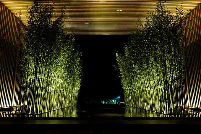 带父母去三亚游玩攻略,爸妈三亚旅游攻略