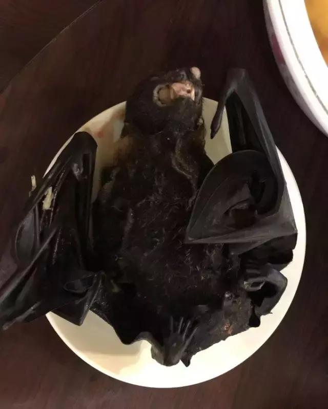 帕劳归来不看海视频,帕劳归来不看海