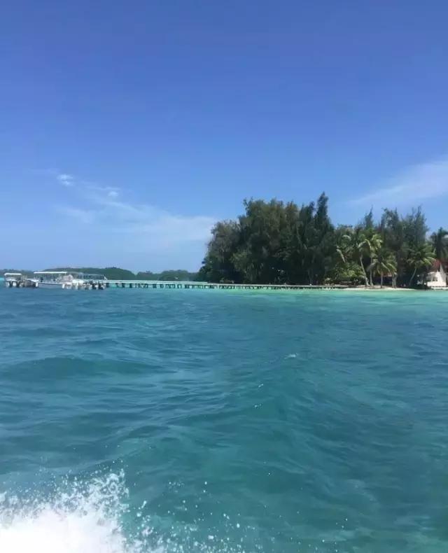 帕劳归来不看海视频,帕劳归来不看海