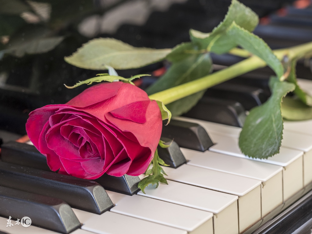 四十岁的女人单身该做什么,四十岁的女人应有什么心态