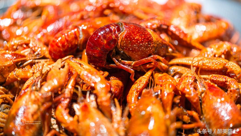 武陵源，秋之颂歌！