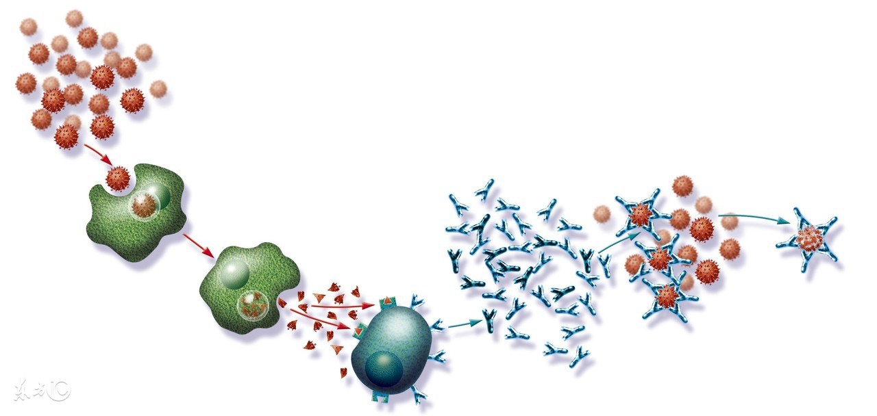 癌症放疗化疗用中医怎么调理身体,癌症病人化疗放疗过程