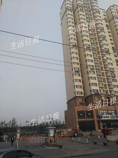 物业不让低层住户坐电梯,物业规定狗不能上电梯吗