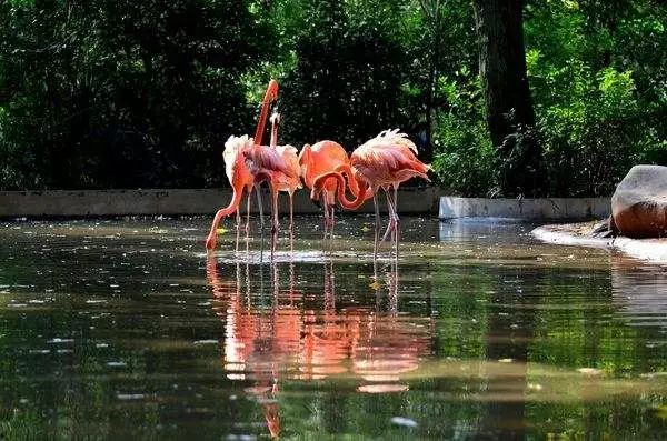 上海各个景点及路线图,上海周边公交车地铁可以到的景点