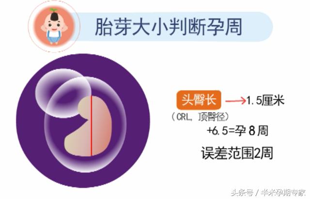 怀孕第一次b超看得到宝宝吗,孕早期几天b超才可以看到宝宝