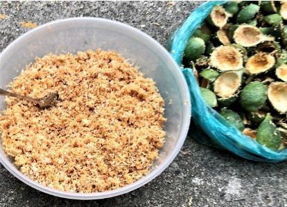 大妈发现高架桥下一大片这种果实，大妈拿回家做了这道美食