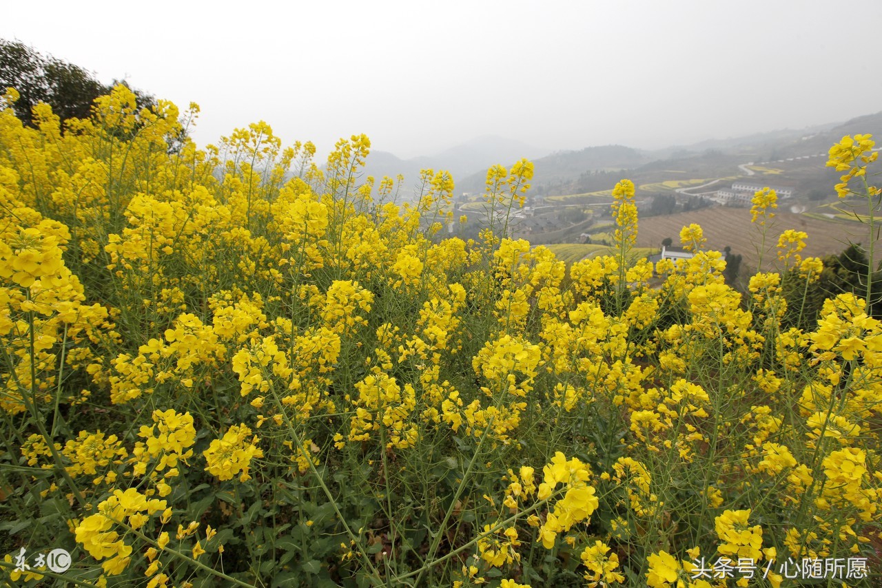 冬季手脚容易冻伤的朋友有了这小方法再也不用受冻疮煎熬了