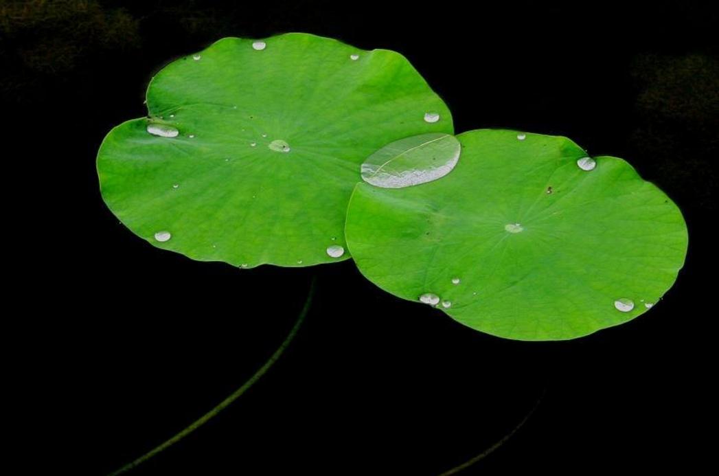 做人一定要提防小人,做人要小心谨慎