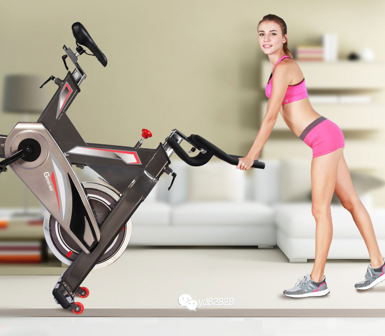 家用动感单车什么牌子的好,家用动感单车哪个牌子性价比高