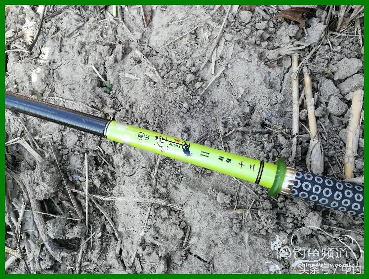 爽钓渔具,爽钓黄金版