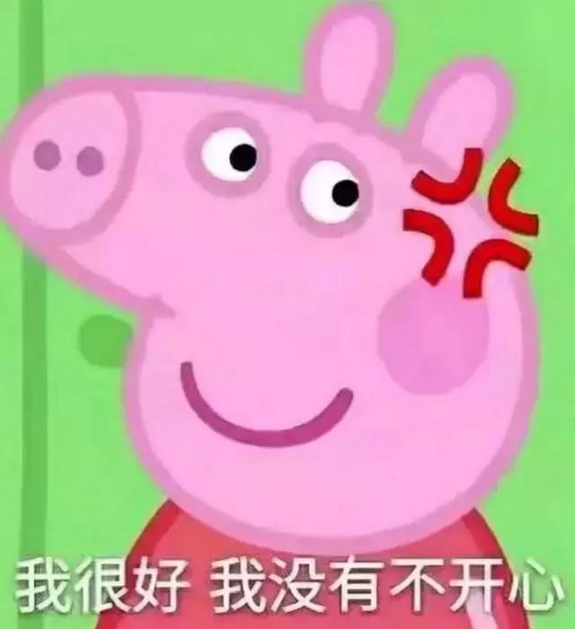 霸占你的小猪表情包,霸占你全部时间的表情包