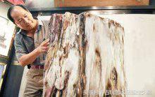 树化玉功效,树化玉的价值