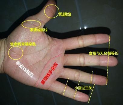 手相如何看人生运势图片,各种手相事业运势图片解析