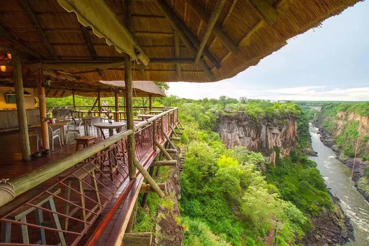 他花16年学会跟狮子交谈,而你花10天懂得了他的执著!