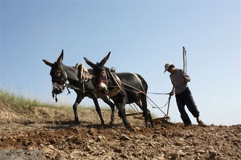 甘肃赏田园风光感受乡村魅力,甘肃渭源风景图片大全