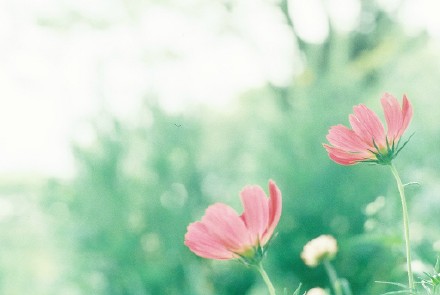 最近很喜欢的一段话建议收藏,喜欢记得点赞收藏的句子