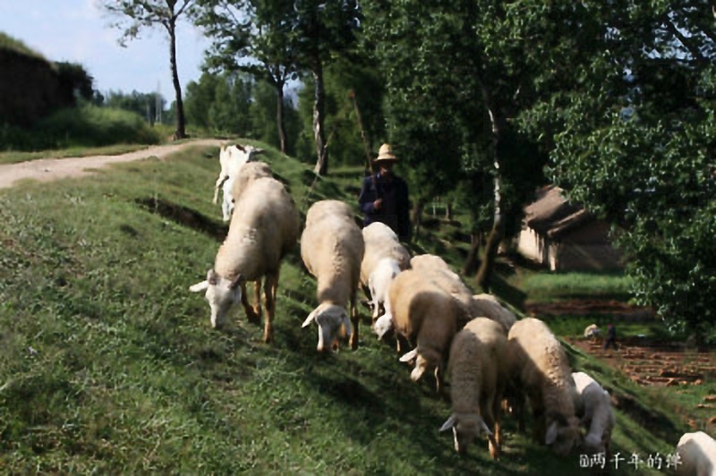 甘肃赏田园风光感受乡村魅力,甘肃渭源风景图片大全