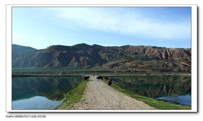 甘肃赏田园风光感受乡村魅力,甘肃渭源风景图片大全