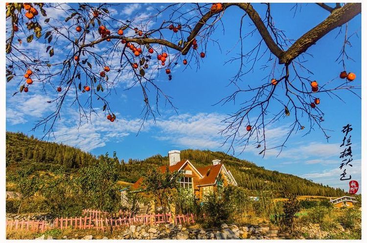 金秋沂南,诗意流淌有那么一群爱美的人,把秋季沂南送到你面前