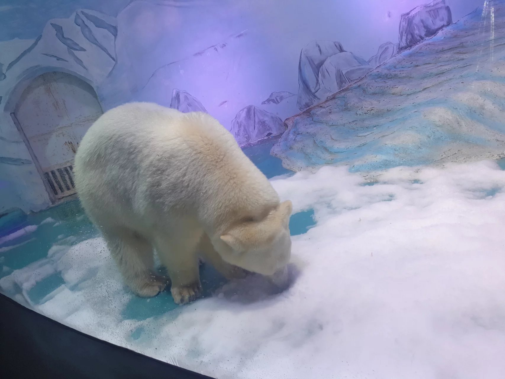 喜欢看恐龙海洋动物,广州长隆海洋馆海底世界