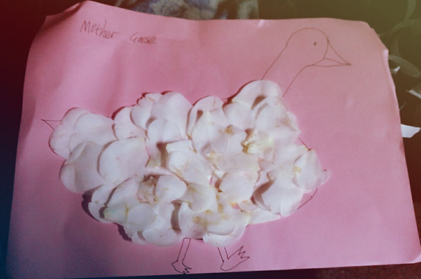 从英语小白到学霸,从英语小白到雅思