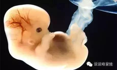 走得早担心腿弯，走得晚担心有毛病，娃儿学个走路麻麻不要太纠结