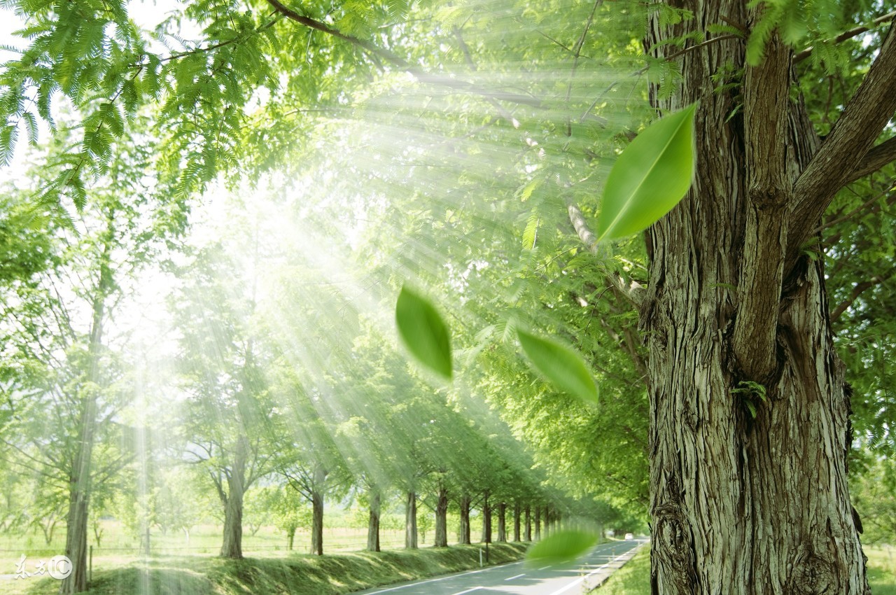 《江月》连载：他坏坏的，还精神分裂，却悄悄夺走了她的心！