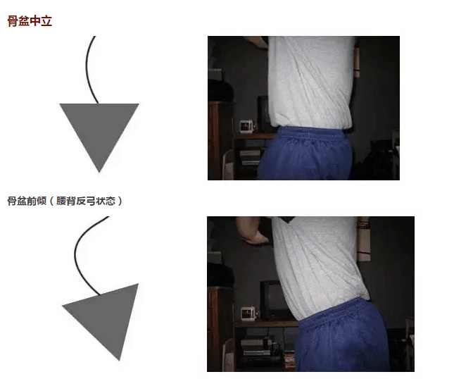 练腹肌用腹肌轮还是其他方式,腹肌轮跪着练能练出腹肌吗