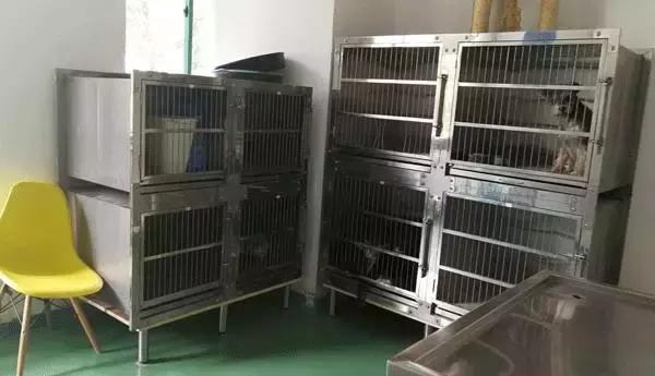 中国为什么没有正规的宠物医院,国内靠谱的宠物医院