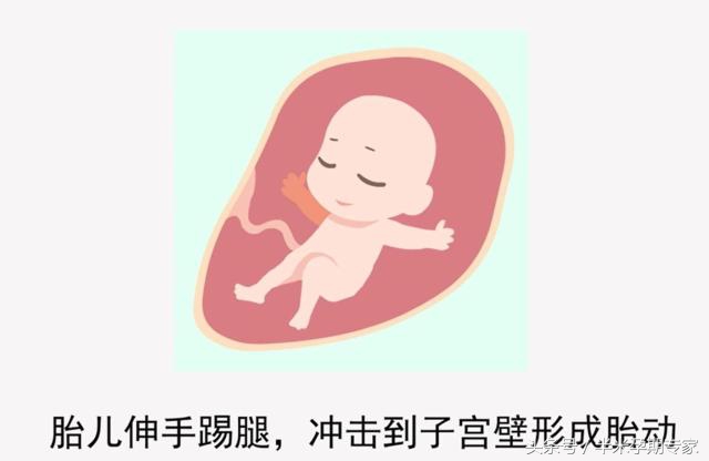 二胎什么时候开始感觉胎动,胎动最早什么时候开始