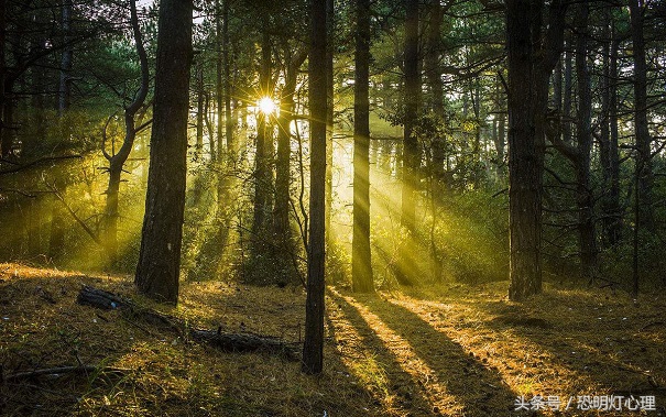 今天是艾滋病日,艾滋病日是什么征兆