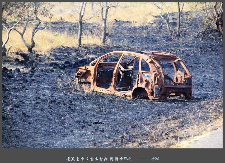 娲ュ反甯冮煢鎶楄闈炴硶鍒惰,娲ュ反甯冮煢涓轰粈涔堣鍒惰