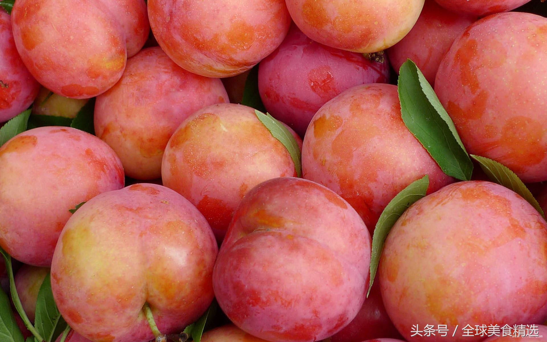 吃多了会丢掉小命十大常见食物,什么食物同吃会出人命