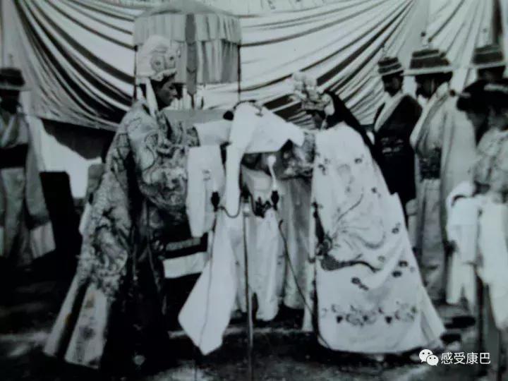 雪山上的红牡丹,藏族雪山上的红牡丹