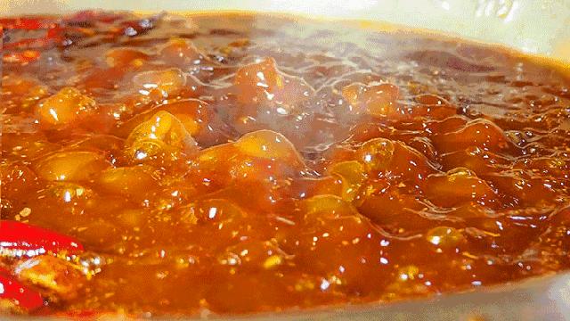 猫咪毛球症，猫草，猫薄荷与木天蓼